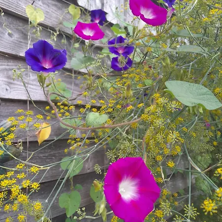 La Petite Maison Casa vacanze *