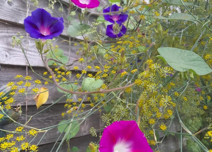 La Petite Maison Дом отдыха *